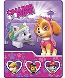 Paw Patrol Mink Sherpa Throw [並行輸入品]