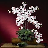胡蝶蘭シルクOrchid Flower w / Leaves ( 6 stems )