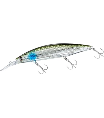 Daiwa Shoreline Shiner-z Vertice R Laser Impact 125ss 23 Gr Col. Chart Inakko - Eau Salée Jerk