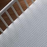 Lolli Living Sparrow Fitted Sheet, Mint Scallop by Lolli Living [並行輸入品]