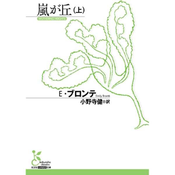 嵐が丘』を読む | 川口 喬一 |本 | 通販 | Amazon
