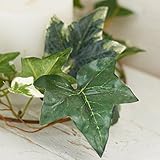 Factory Direct Craft 12 Feet of Artificial Mixed Ivy Vine Garland for Home Decor and Displaying [並行輸