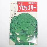 来固定種　野菜の種「ドシコブロッコリー」2ml約480粒　畑懐〔はふう〕