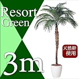 フェニックス ロベレニー お手入れ不要 人工観葉植物 98685