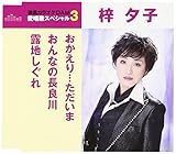 ��������c��������/����Ȃ̒��ǐ�/�I�n������