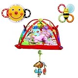 出産祝い Sassyサッシー&タイニーラブ 人気4点セット（男の子）4