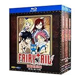 FAIRY TAIL BD (シーズン 1-3)+OAD+劇場版 ブルーレイプレーヤー用