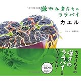 ヘビ トカゲ ヤモリ 嫌われ者たちのララバイ 松橋利光 本 通販 Amazon ヘビ トカゲ ヤモリ 嫌われ者たちのララバイ 松橋利光 本 通販 Amazon