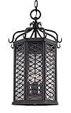 Troy Lighting Los Olivos 4-Light Outdoor Pendant - Old Iron Finish with Clear Seeded Glass [並行輸入品]