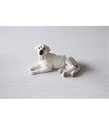 Amazon | シークレット【ラブラドール・レトリバー（盲導犬）茶
