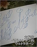 太陽的ベクトルンルン的ウルトラターン　嶋田智幸（ベジータ）