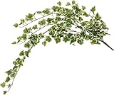 ポッシュリビング アイビー フイリ 80932