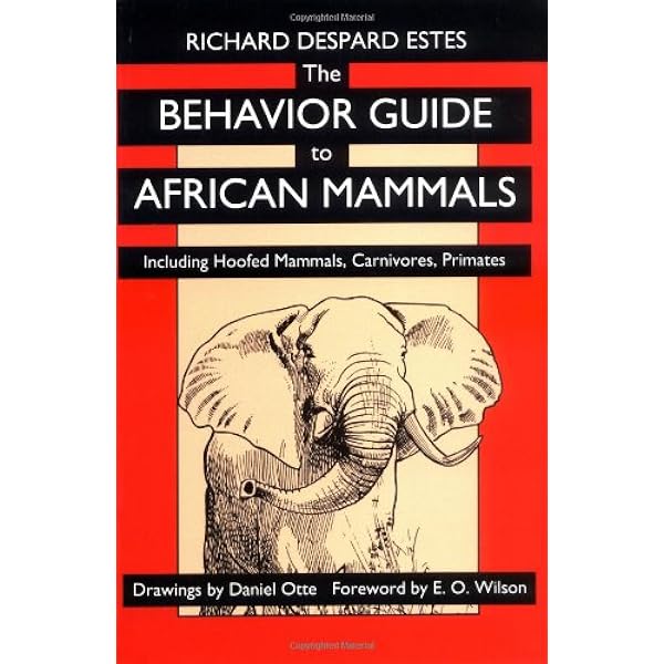 Amazon | Serengeti: Natural Order on the African Plain | Iwago