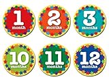 Sticky Bellies Baby Month Stickers - Nifty Neutral by Sticky Bellies