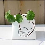 花瓶 陶器 花器フラワーベース 生け花 おしゃれ Flower Vase 花立・華瓶 北欧風 陶器製 フラワーギフト 白