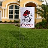 チームスポーツアメリカCollegiateアメリカGarden Flag