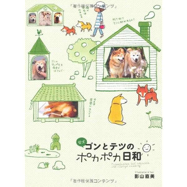 Amazon.co.jp: 柴犬ゴンのへなちょこ日記 新装版 (メディア