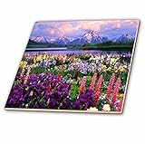 3dRose ct_53318_7 Wyoming Wildflowers Glass Tile, 8" [並行輸入品]