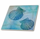 3dRose ct_79341_1 Aqua Shells and Starfish Beach Themed Art-Ceramic Tile, 4-Inch [並行輸入品]