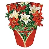 ポップアップカード 誕生日 メッセージカード 母の日 カード おしゃれ 母の日 3D ギフトカード 多目的 感謝カード 適切はレディース 母