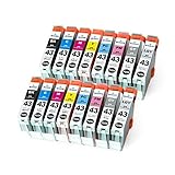J-ECO製 BCI-43BK BCI-43C BCI-43M BCI-43Y BCI-43PC BCI-43PM BCI-43GY BCI-43LGY 染料 お得な8色セット×2 ISO14001、ISO9001、CE、SGS認証工場 キヤノン用 互換インクカートリッジ 残量表示 (BCI-43)
