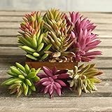 Supla 9 Pcs faux succulents unpotted Vinyl Artificial Succulent Galanthus Cactus Plants Artificial P