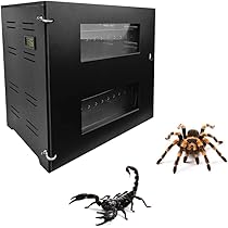 爬虫類ケージ、インキュベーター Amazon | 爬虫類飼育ケース、ペットインキュベーター8個PVC