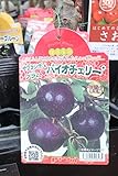 【果樹苗】【接木】　サクランボ　バイオチェリー　一年生　【送料込価格】