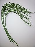 UrbanStyle(アーバンスタイル)【観葉植物 グリーンネックレス 3本セット】人工観葉植物 フェイクグリーン 造花 壁掛け ハンギング (植物のみ)