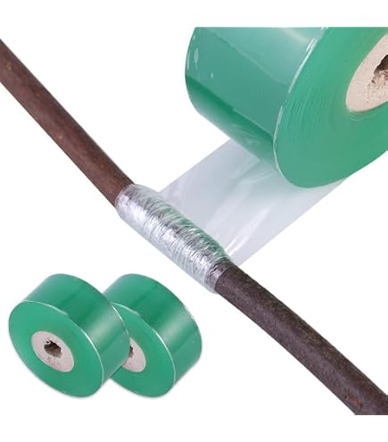 Amazon.co.jp: カラタチの種 (20) : DIY・工具・ガーデン