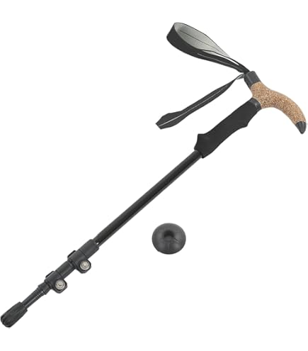 Amazon | LEKI Wanderfreund ハイファイブ アルミニウム 調節