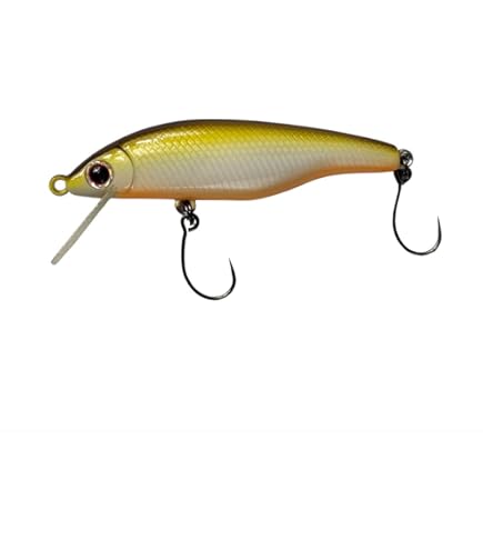 Amazon.co.jp: パームス RAPID ラピッド 45S 35th AL-519 裏