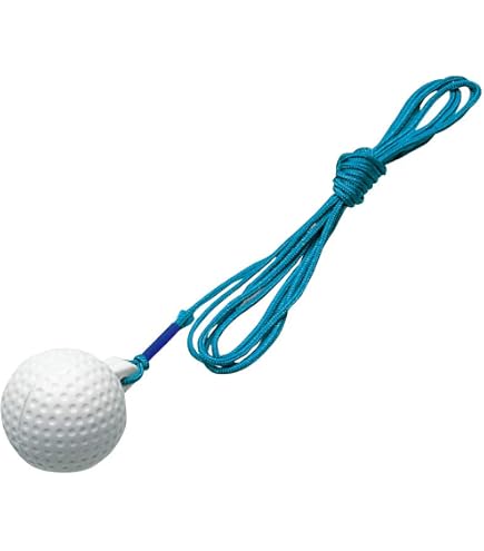 Amazon | ダイヤ(DAIYA) パッティングマット ゴルフ練習器 ダイヤ
