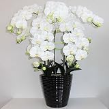 光触媒 造花の胡蝶蘭 鉢植え アートフラワー Lサイズ-5本立 H95cm(白/花弁・黄-黒鉢)