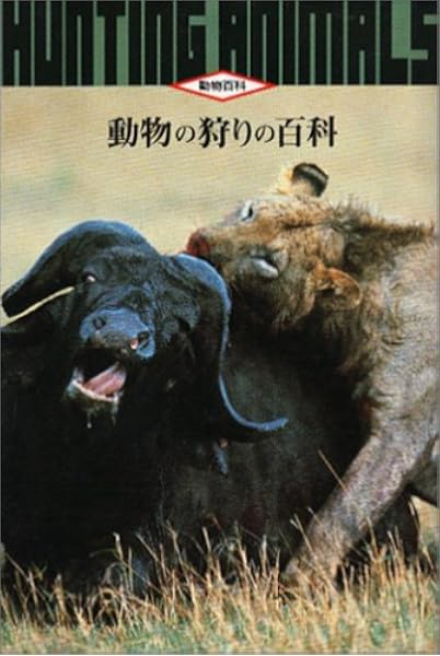 動物の狩りの百科 動物百科 今泉 忠明 本 通販 Amazon