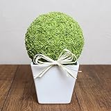 A plus floral art インテリアグリーン モスボール ムースクゲル フェイクグリーン 観葉植物 プリザーブドフラワー