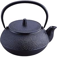 岩鋳 Iwachu 鉄瓶兼用急須 5型新アラレ 黒焼付 0.65L ホーロー無し 直火可 南部鉄器 12802