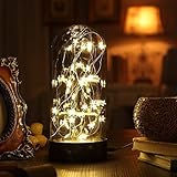 Decorative Fairy Night Light XY Decor 11 Dual Power Operated Table/Desk Lamp with Warm White Star St