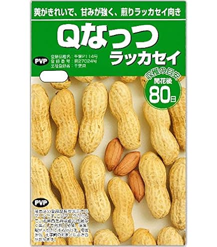 Amazon.co.jp: ※新種2026年3月以降入荷後発送 種子 ラッカセイ・おお