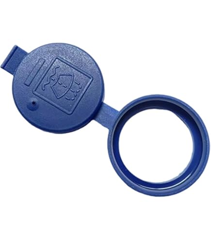 ボトルジュースのキャップ 513Fn7HPTvL._AC_UF350,