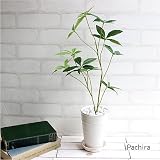パキラ H52 ベージュ丸高鉢 皿付 k-63 造花 観葉植物 消臭 CT触媒加工