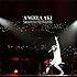 アンジェラ・アキ「アンジェラ・アキ Concert Tour 2014 TAPESTRY OF SONGS - THE BEST OF ANGELA AKI in 武道館0804」