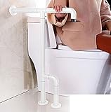 アクセス可能なナイロン手すり障害のある手すりのトイレトイレの浴場洗面所の安全なアームレスト ( 色 : 白 )