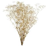 大地農園 プリザーブドフラワー スーパーソフトミニカスミ草(20g入り) DO000020-902