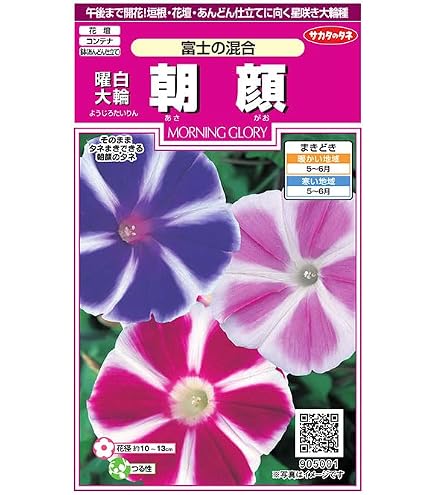 Amazon.co.jp: 曜白朝顔 富士の峰 10.5cmポット苗 : DIY・工具・ガーデン