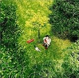 �N�ւ̋C����