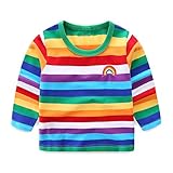 LittleSpring 春 秋 キッズ 男の子 長袖 Ｔシャツ ボーダー カラフル 虹 刺繍 子供服 ジュニア ボーイズ 140