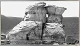 Kissing Cousins by Harold Silverman – 風景 12.92"x23.27" 80559-36-17FUSA
