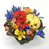 ハロウィン フラワーアレンジメント Sサイズ かぼちゃ りんどう バラ ガーベラ 入り