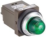 IDEC φ30 シリーズ パイロットライト 白熱球照光 丸形 AC/DC100V APN116G